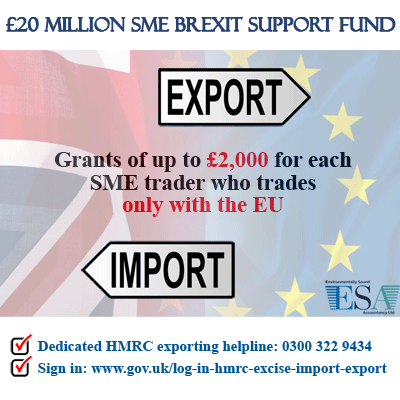 Brexit Support Fund
